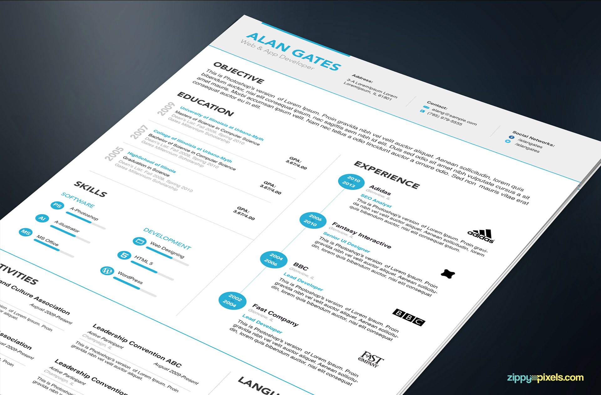 Professional Resume Templates in Simple Style 3