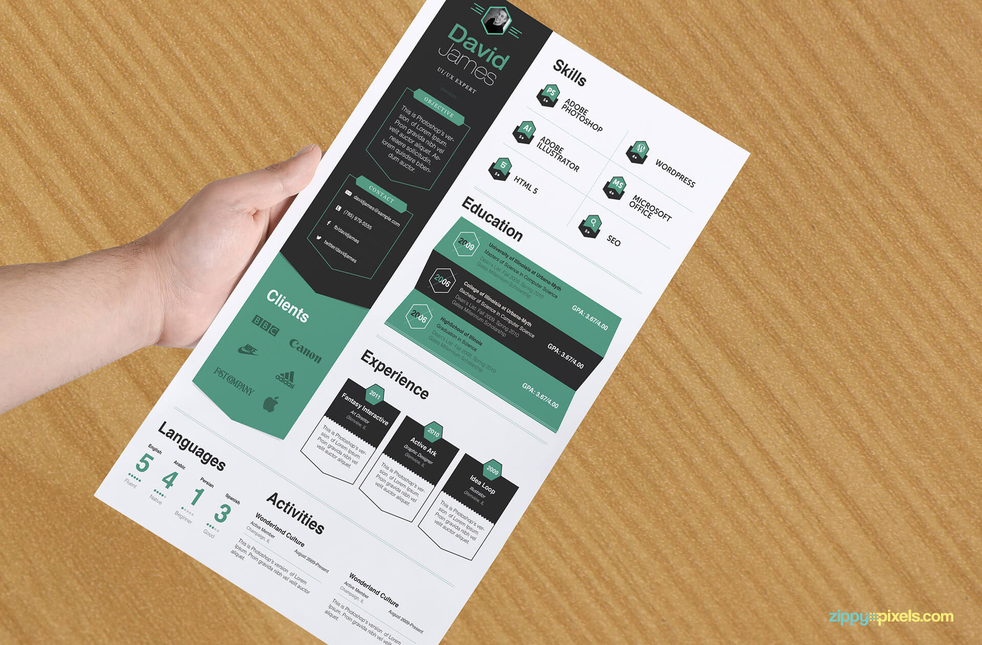 Professional Business Resume Template with White, Green and Black Colors