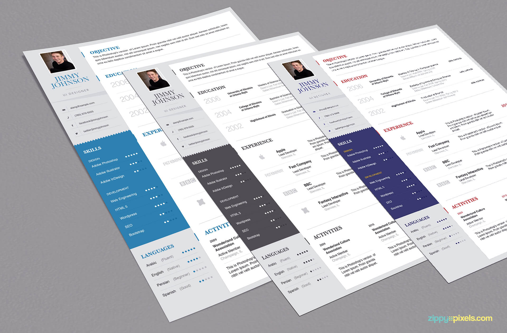 3 Simplistic Resume Templates for Professionals