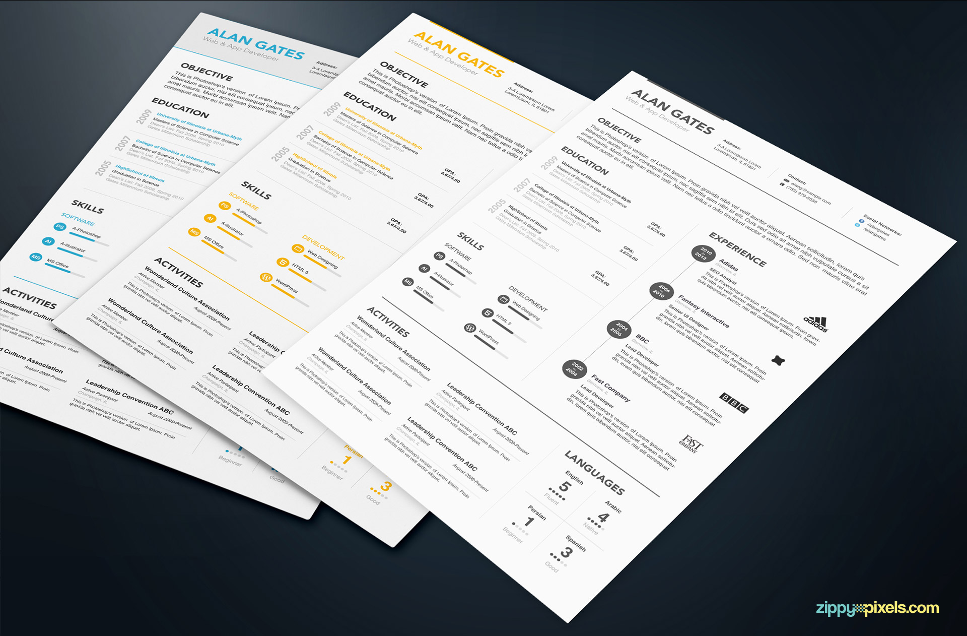 3 Professional Resume Templates in Simple Style