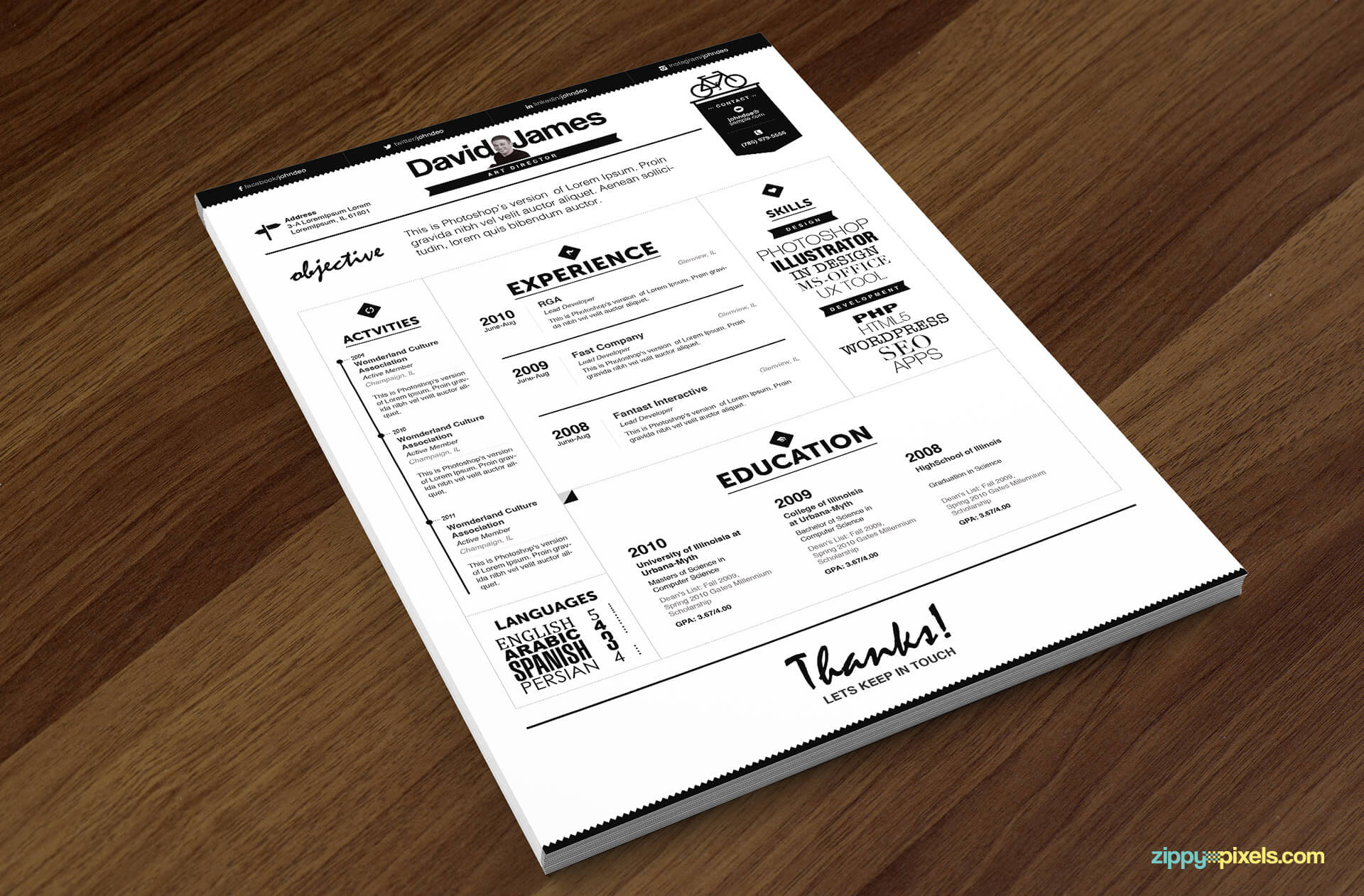 Executive Resume Template