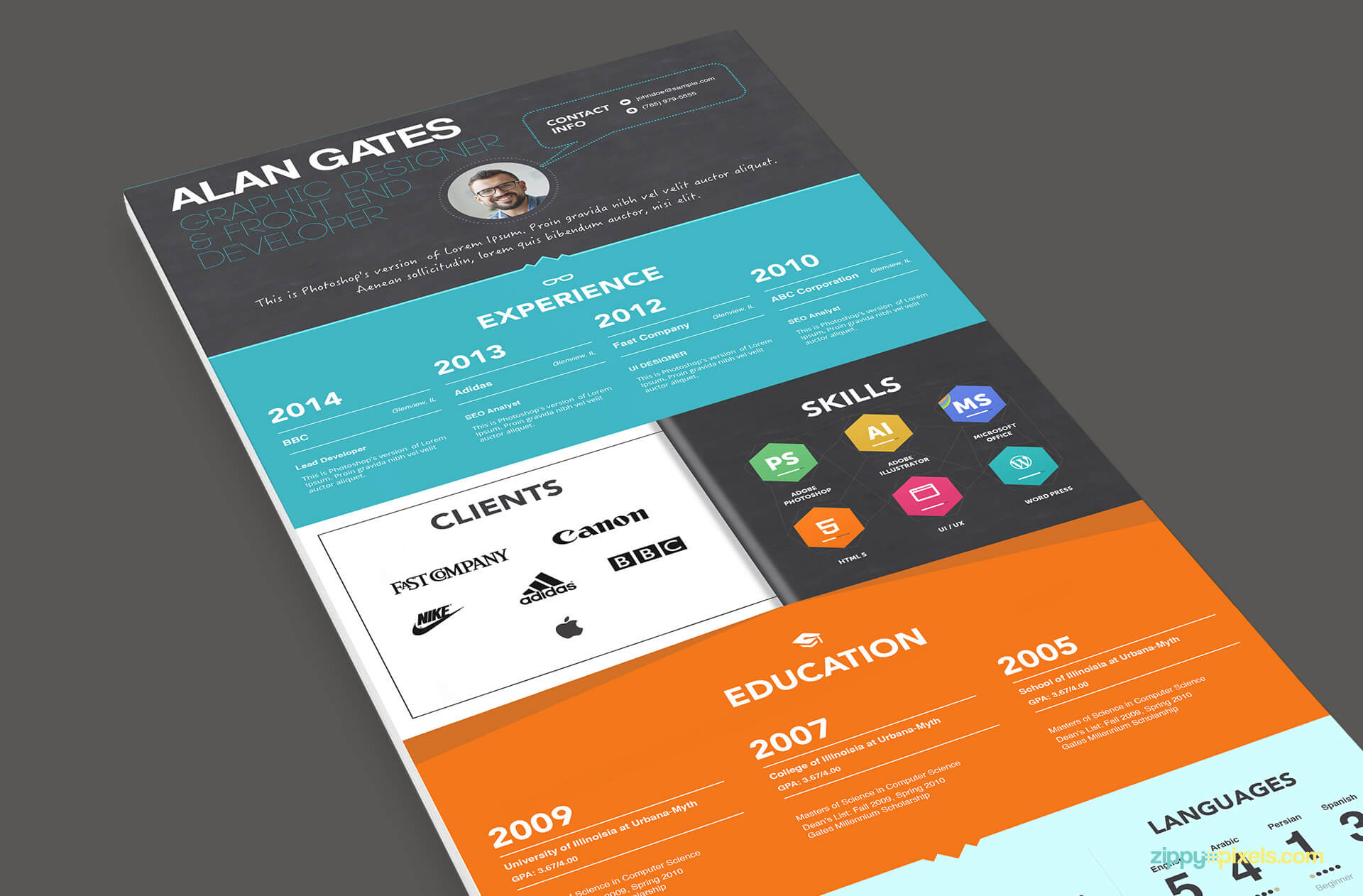 Multipurpose Resume Template Color 3