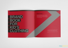 branding style guide