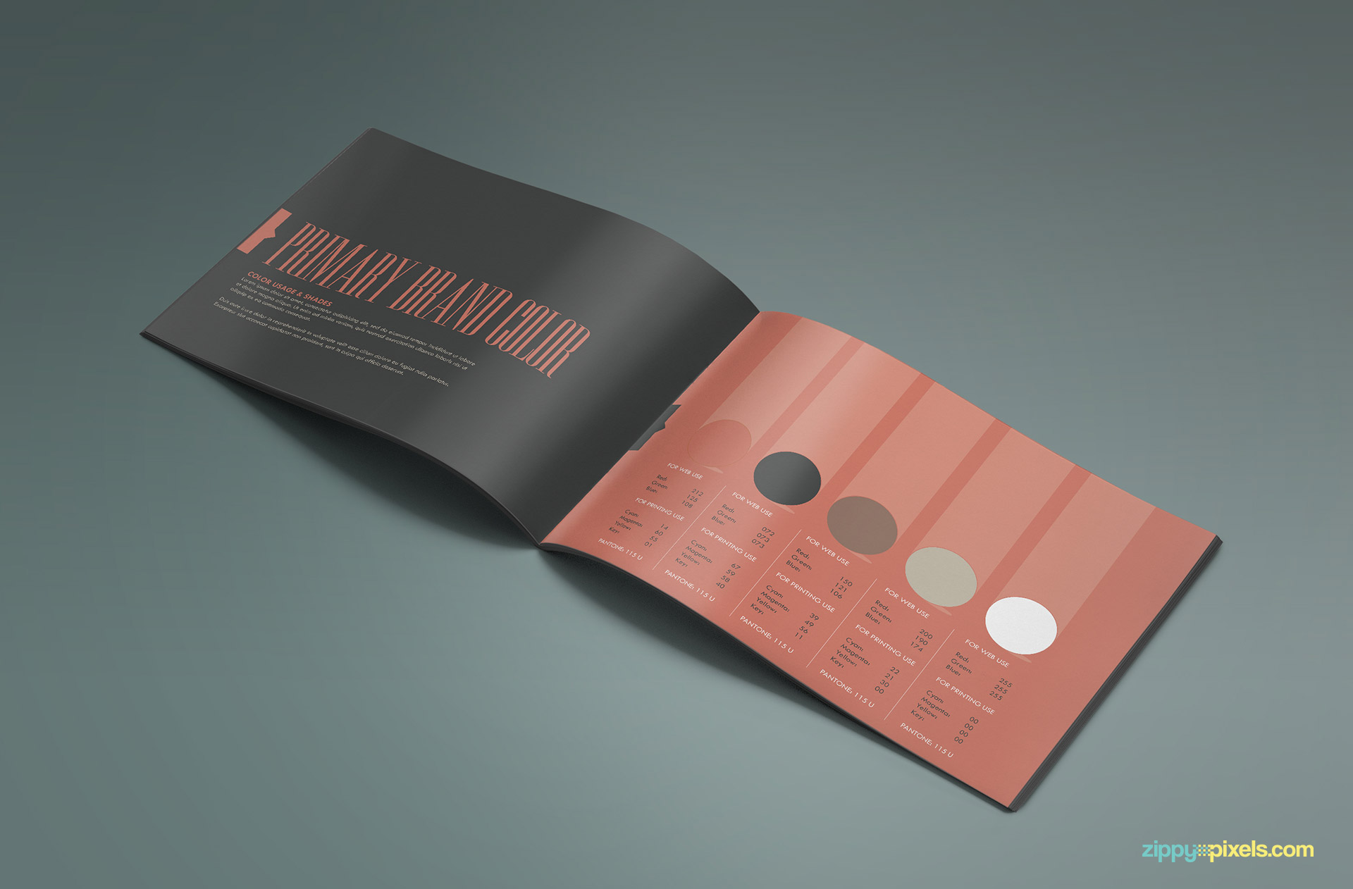 Brand Book - Brand Guidlines Template-Brand Colors