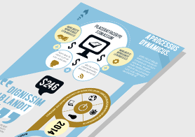 Beautiful Infographics Template with Creative Design – 3 Color Options