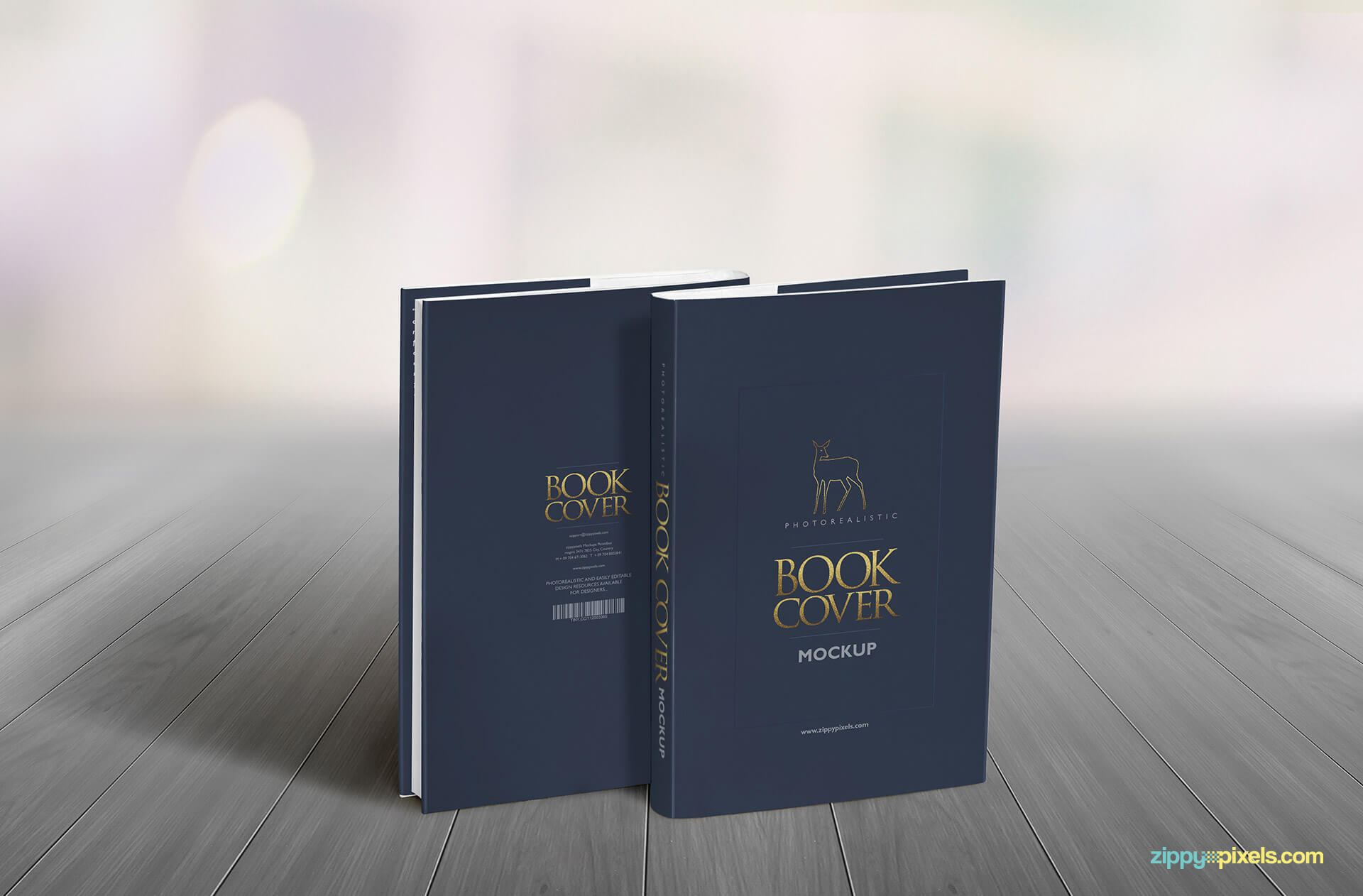 Hardcover book mocksup showing two book standing to show fron and back of dustcover