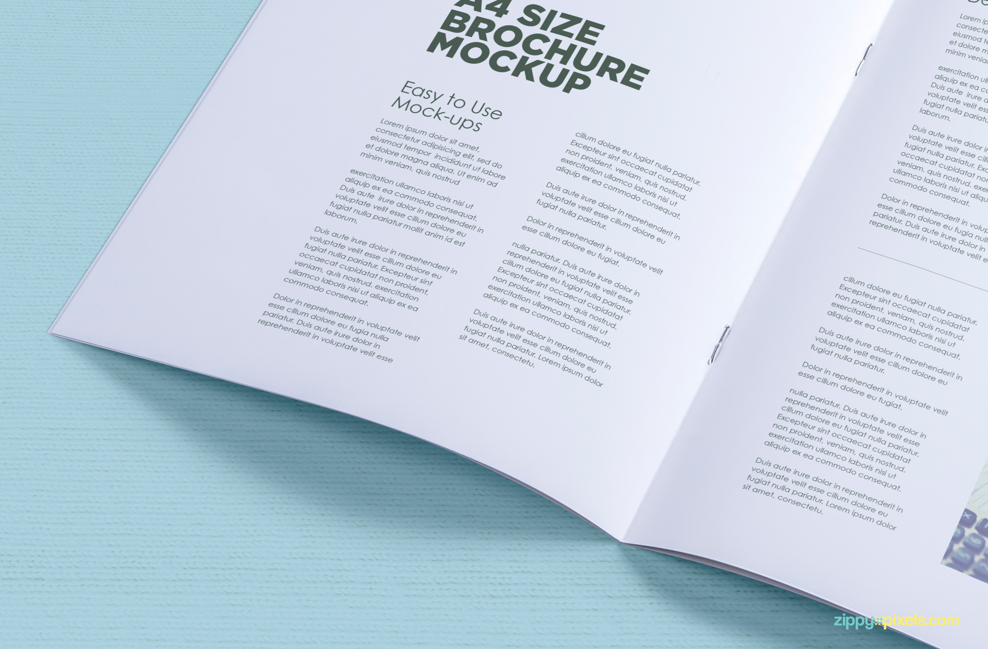 08-free-corporate-a4-brochure-mock-ups-824x542