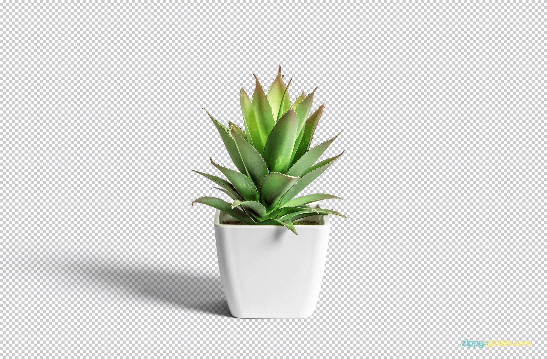 Use Adobe Photoshop for editing this white pot mockup PSD.