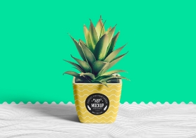 Free Flower Pot Mockup