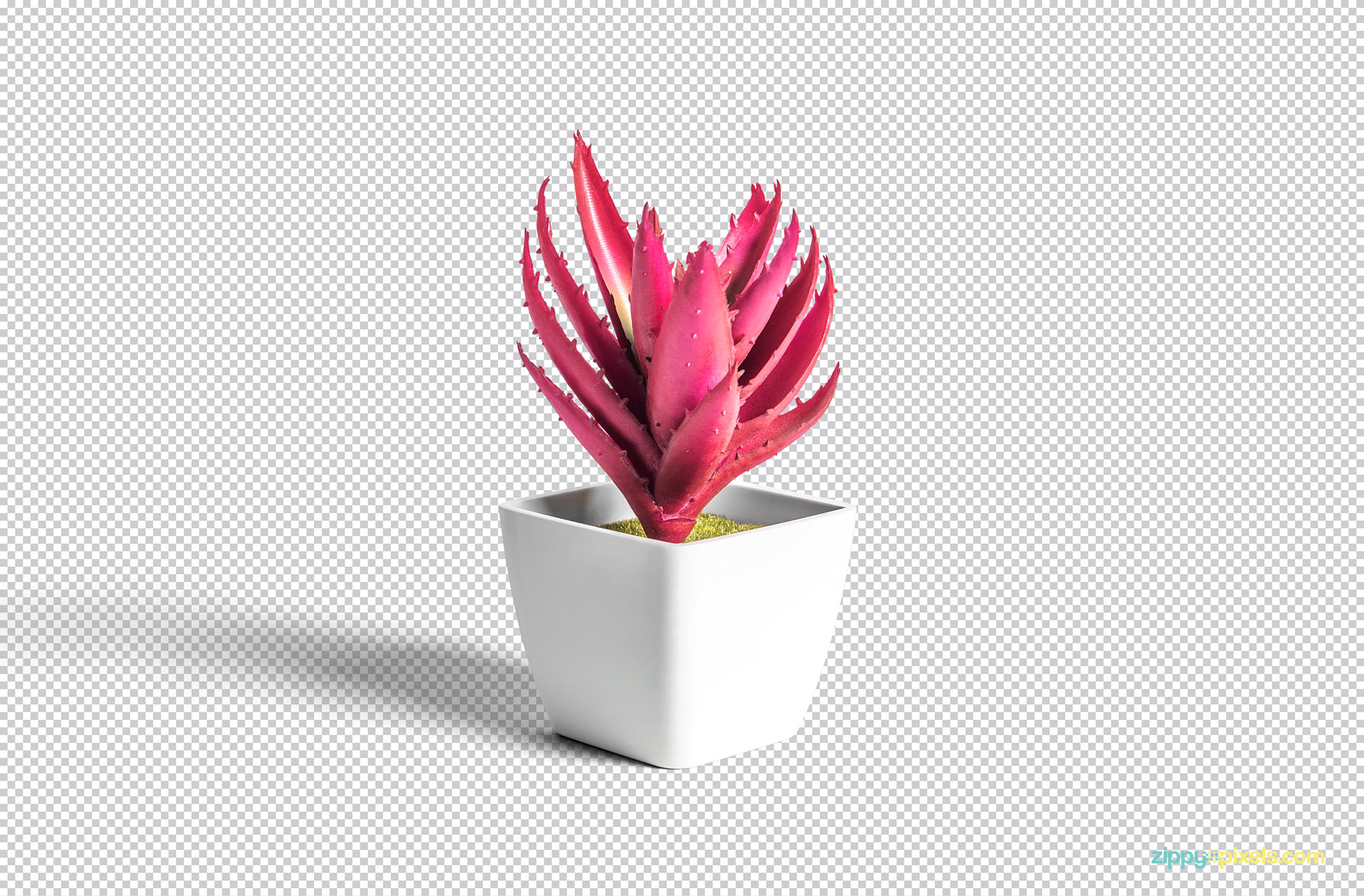 Use Adobe Photoshop for the editing of the plant pot PSD.