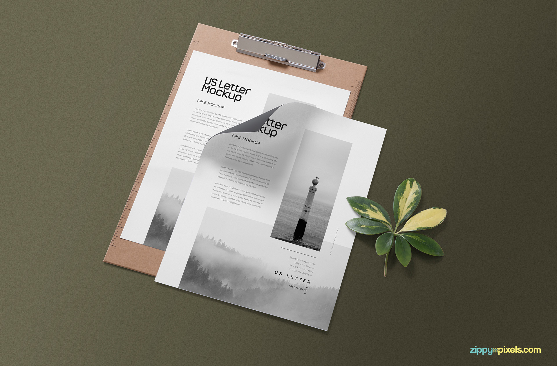 Free US letter mockup for the presentation of your stationery designs.