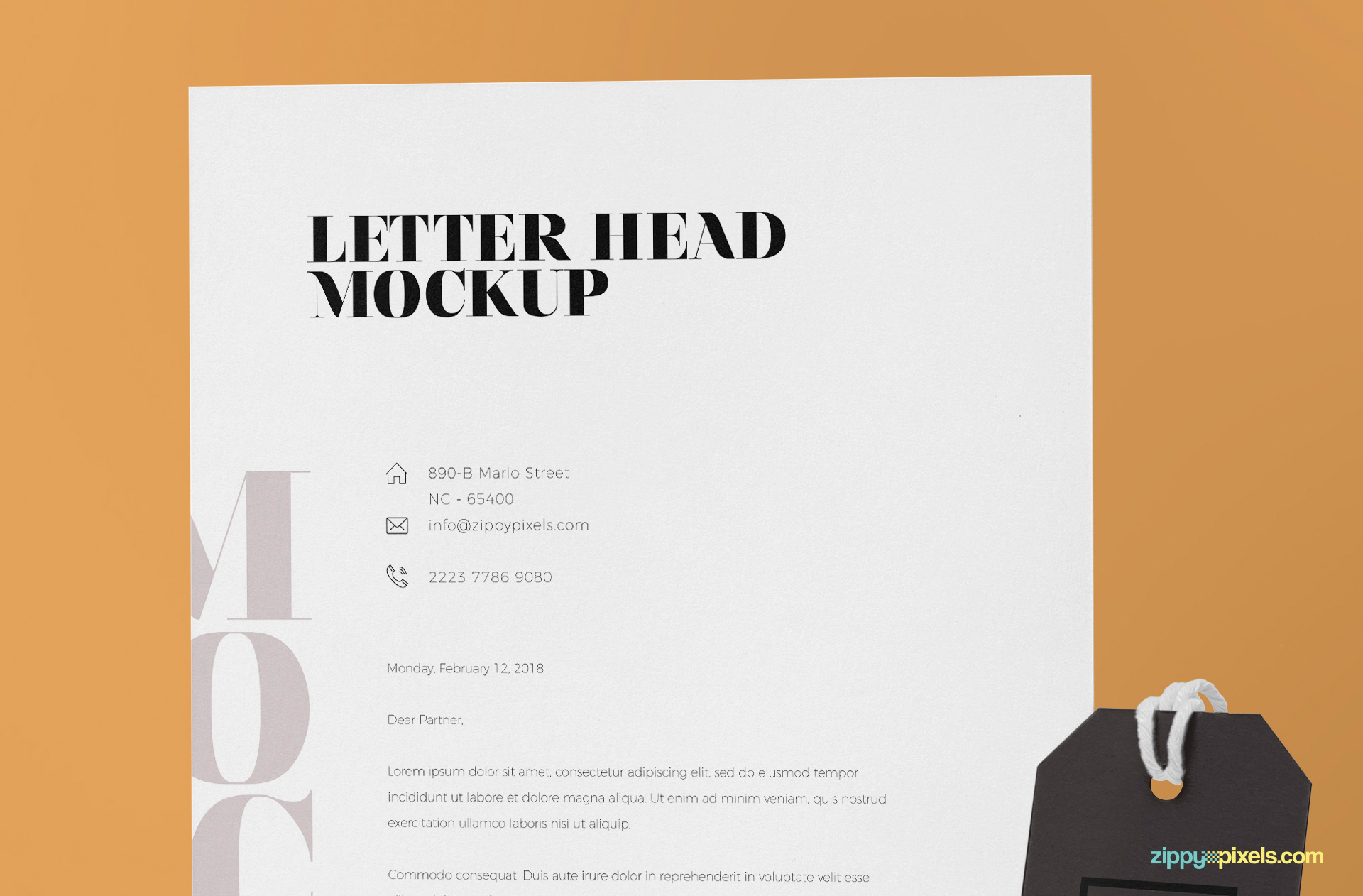 Standard A4 size letterhead to showcase your design.