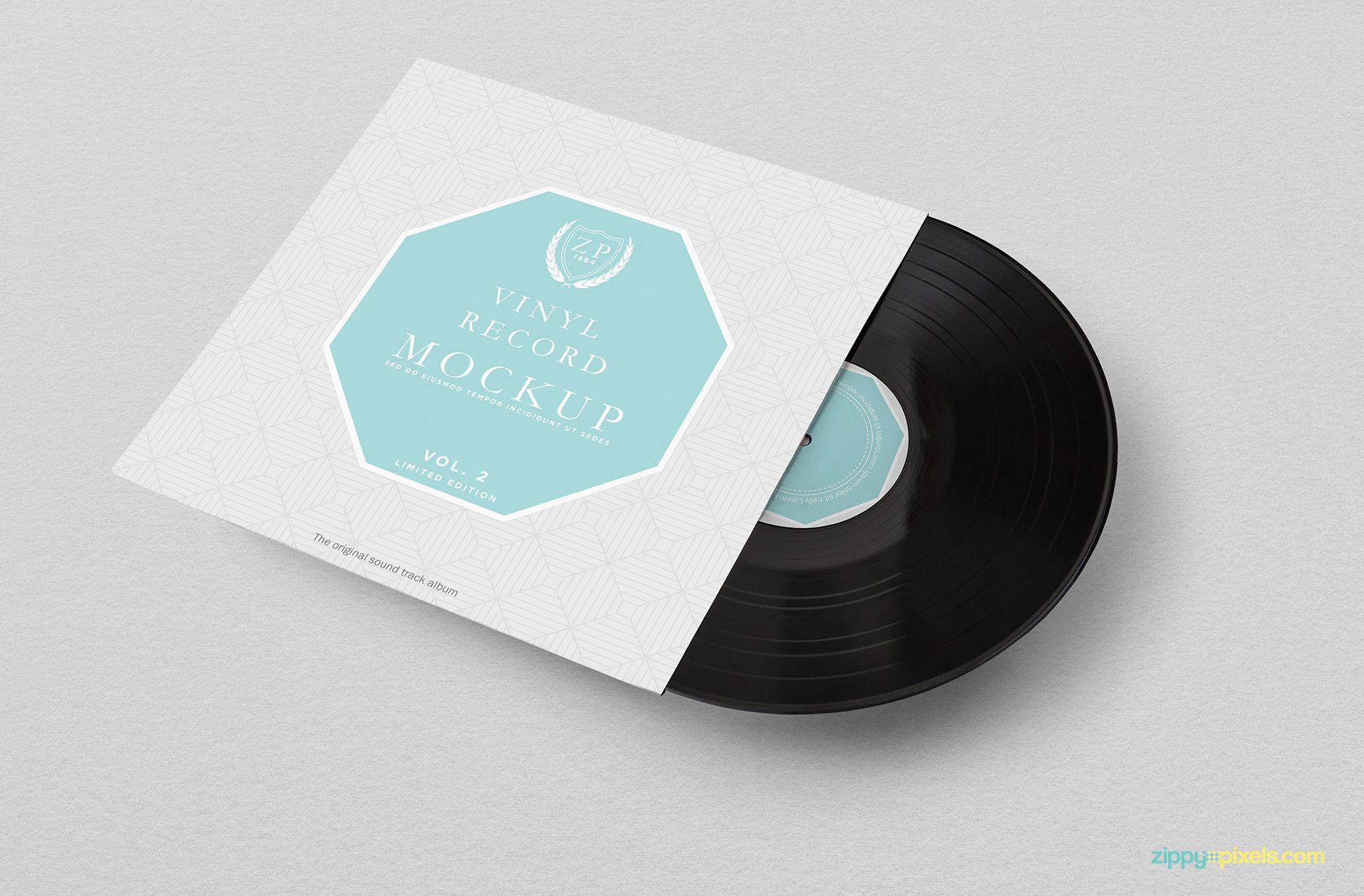 Attractive record mockup for your presentation needs.