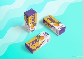 Free Juice Box Mockup