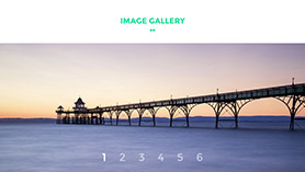 Image Gallery