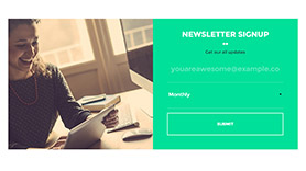 Email Signup