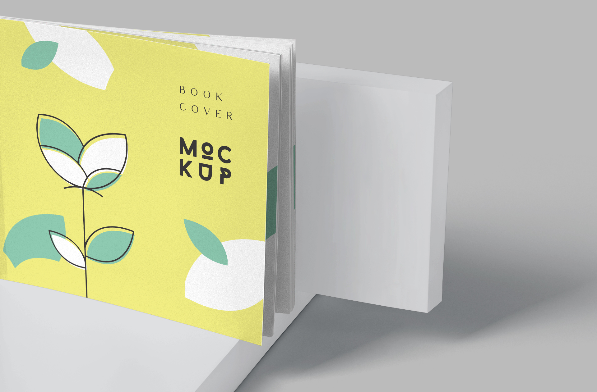 book branding PSD