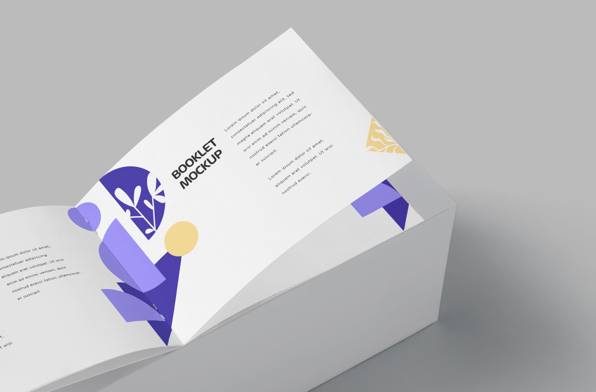 booklet printing mock-up