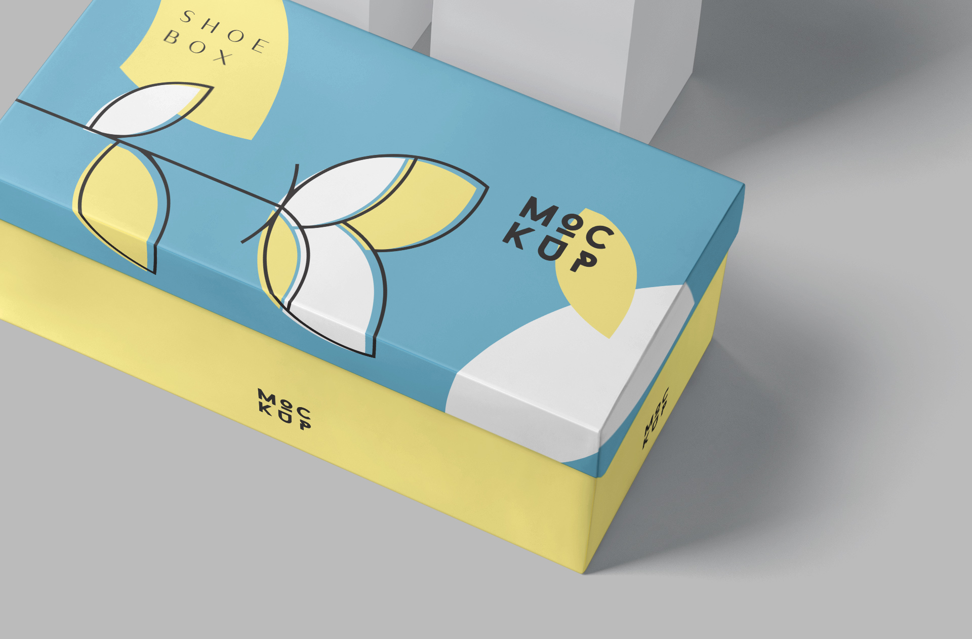 3D box mockup