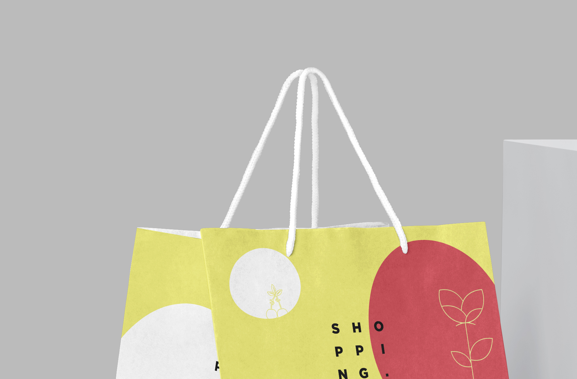 branding bag template