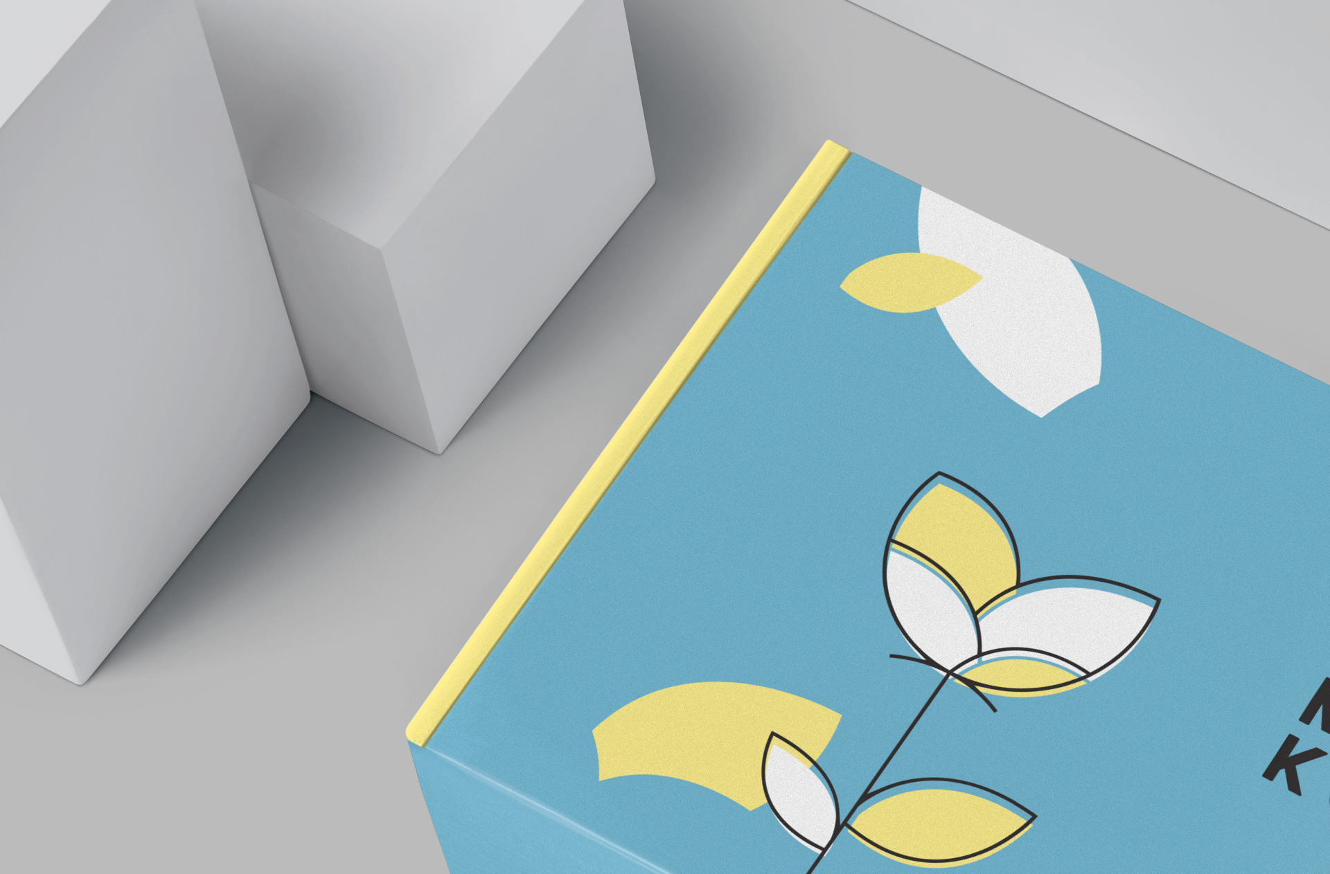 carton packaging mock-up