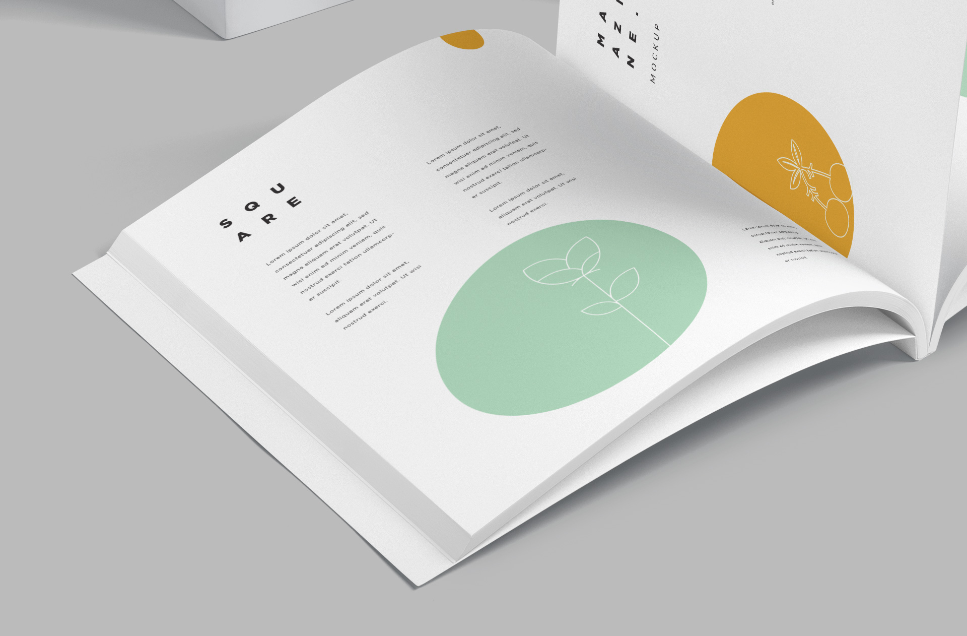 design presentation mockup