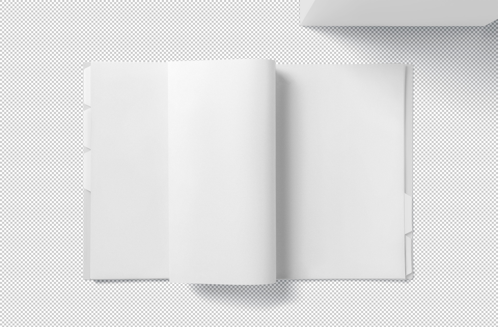 branding identity template