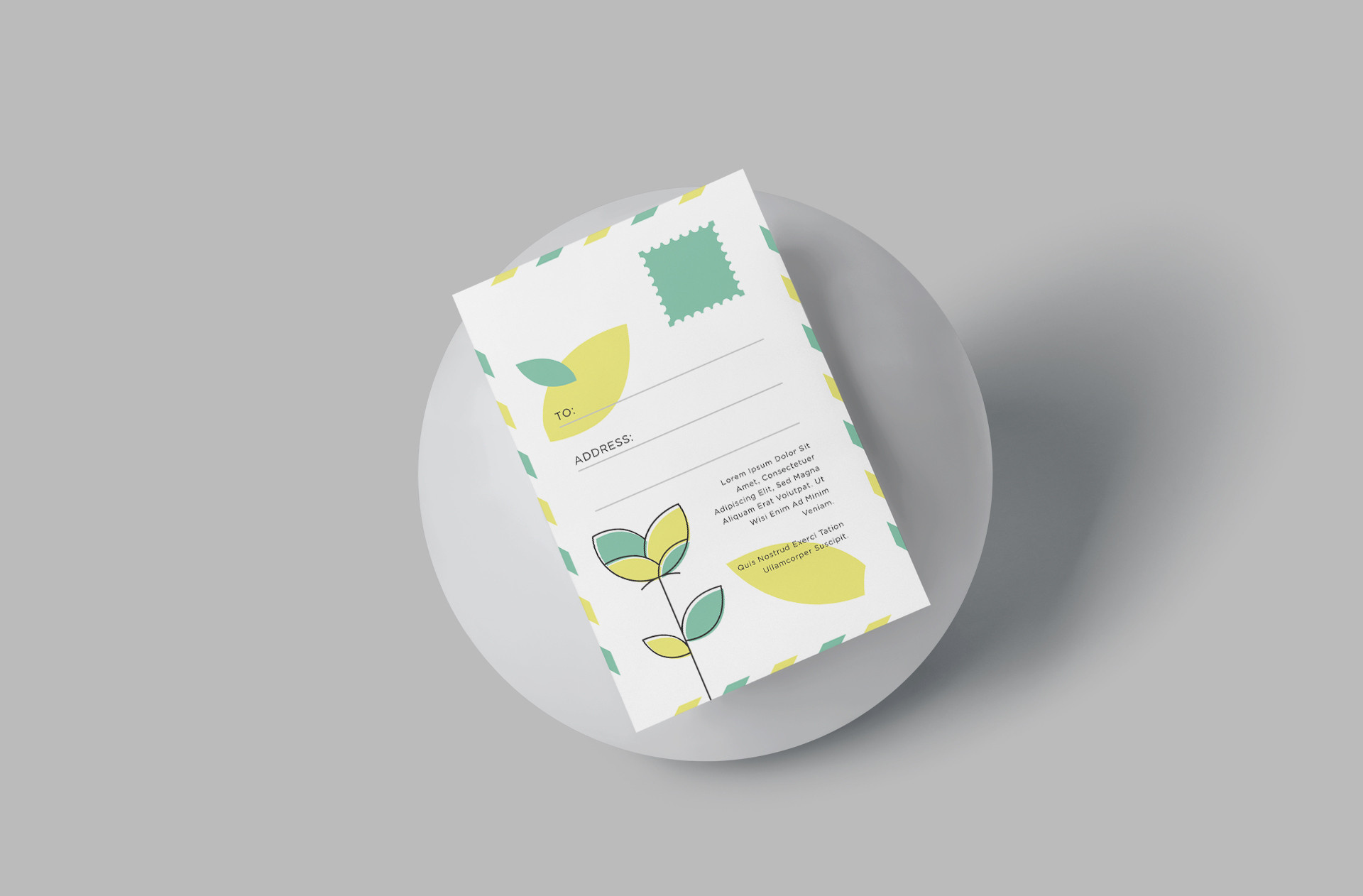 Realistic Postcard Mockup with Mailing Details