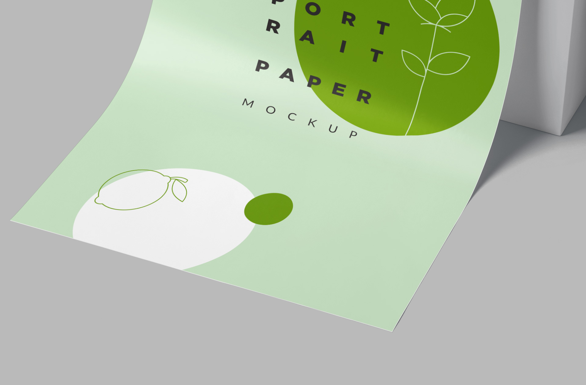 A4 paper PSD