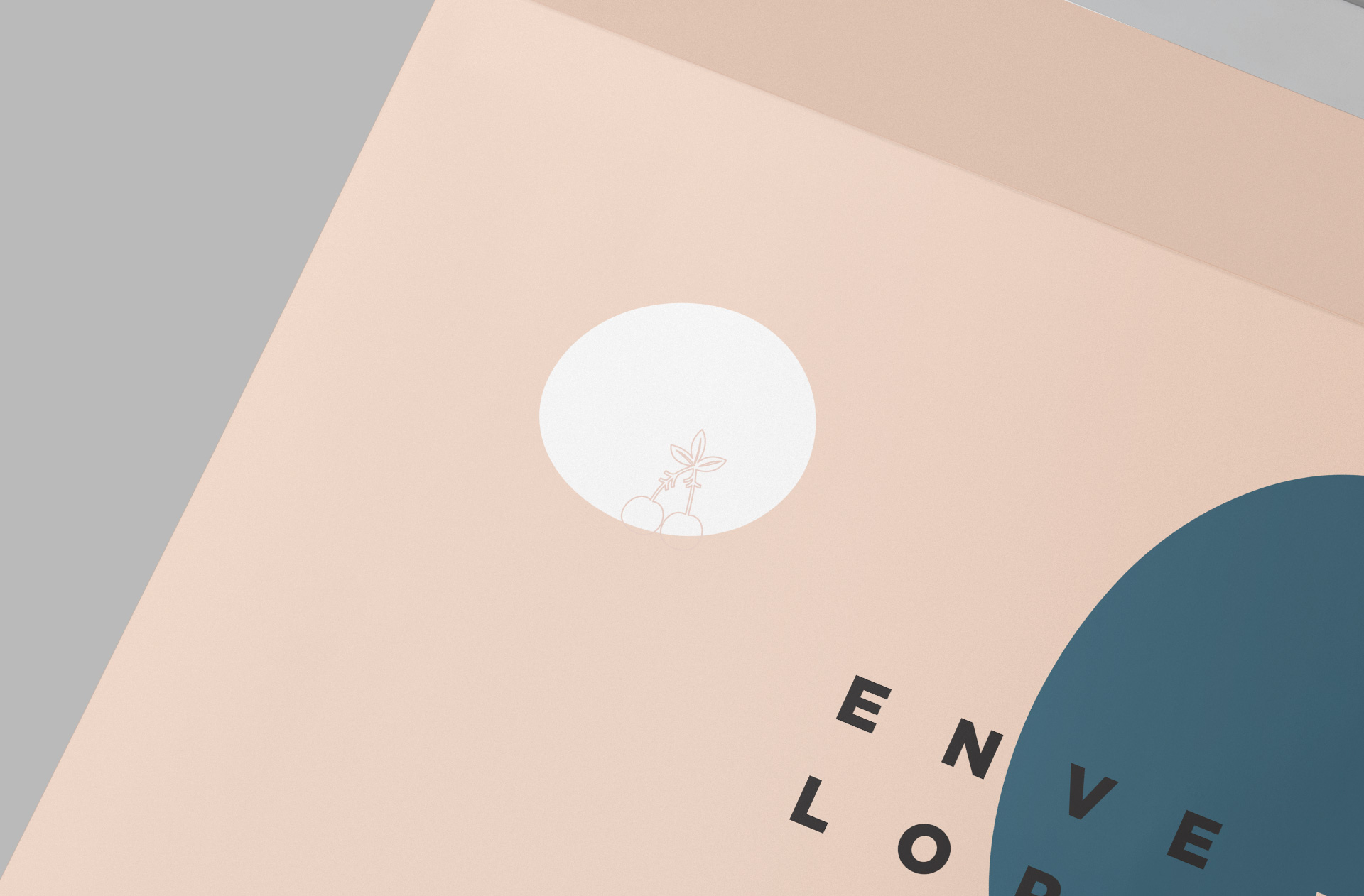 a4 envelope mockup