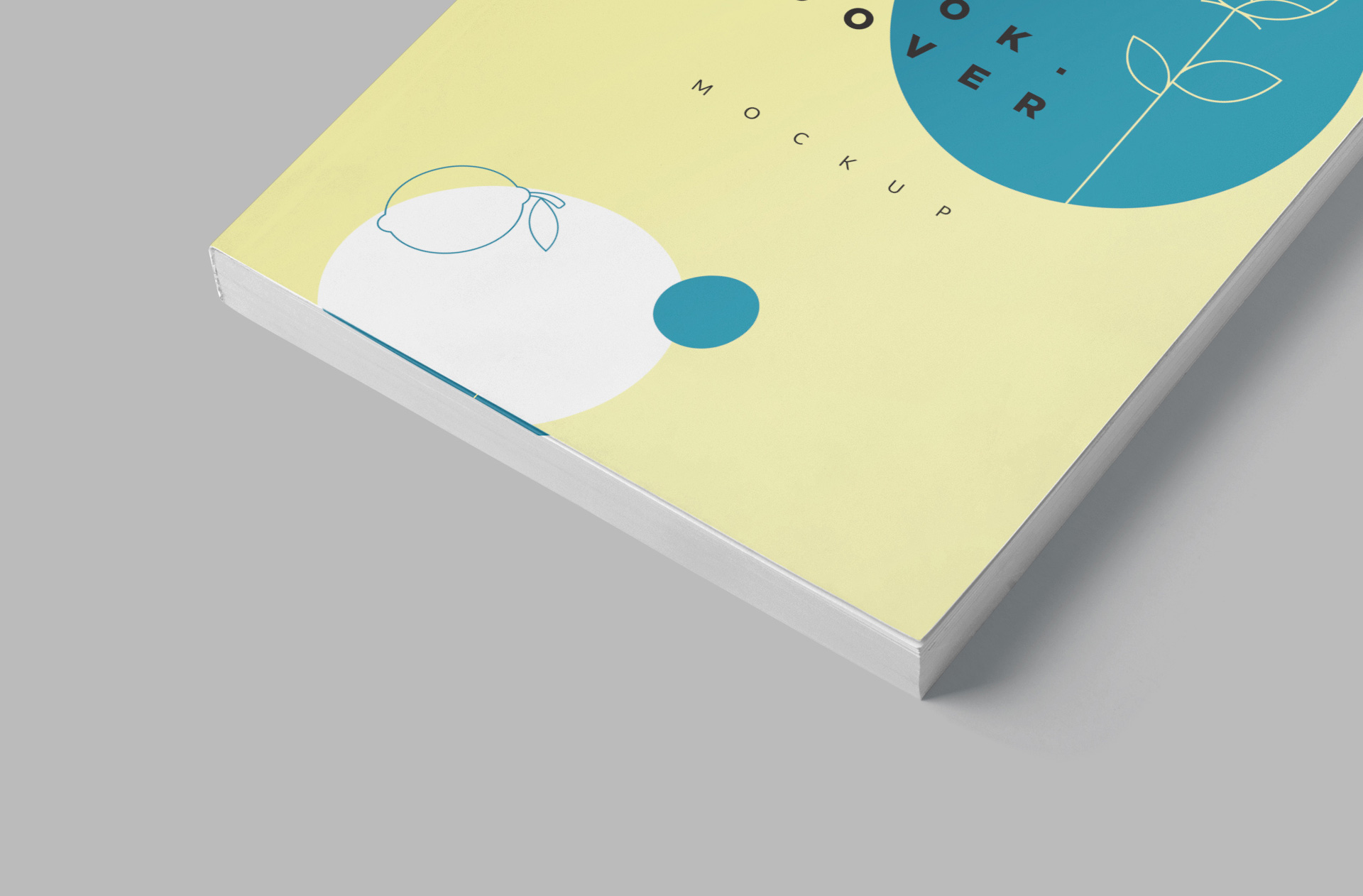 a5 book mockup