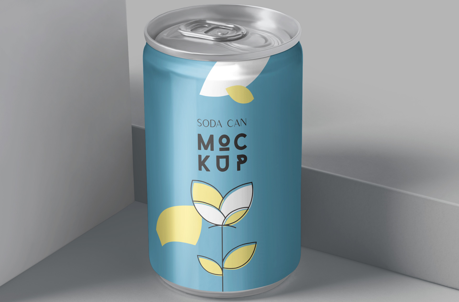 3D soda can presentation