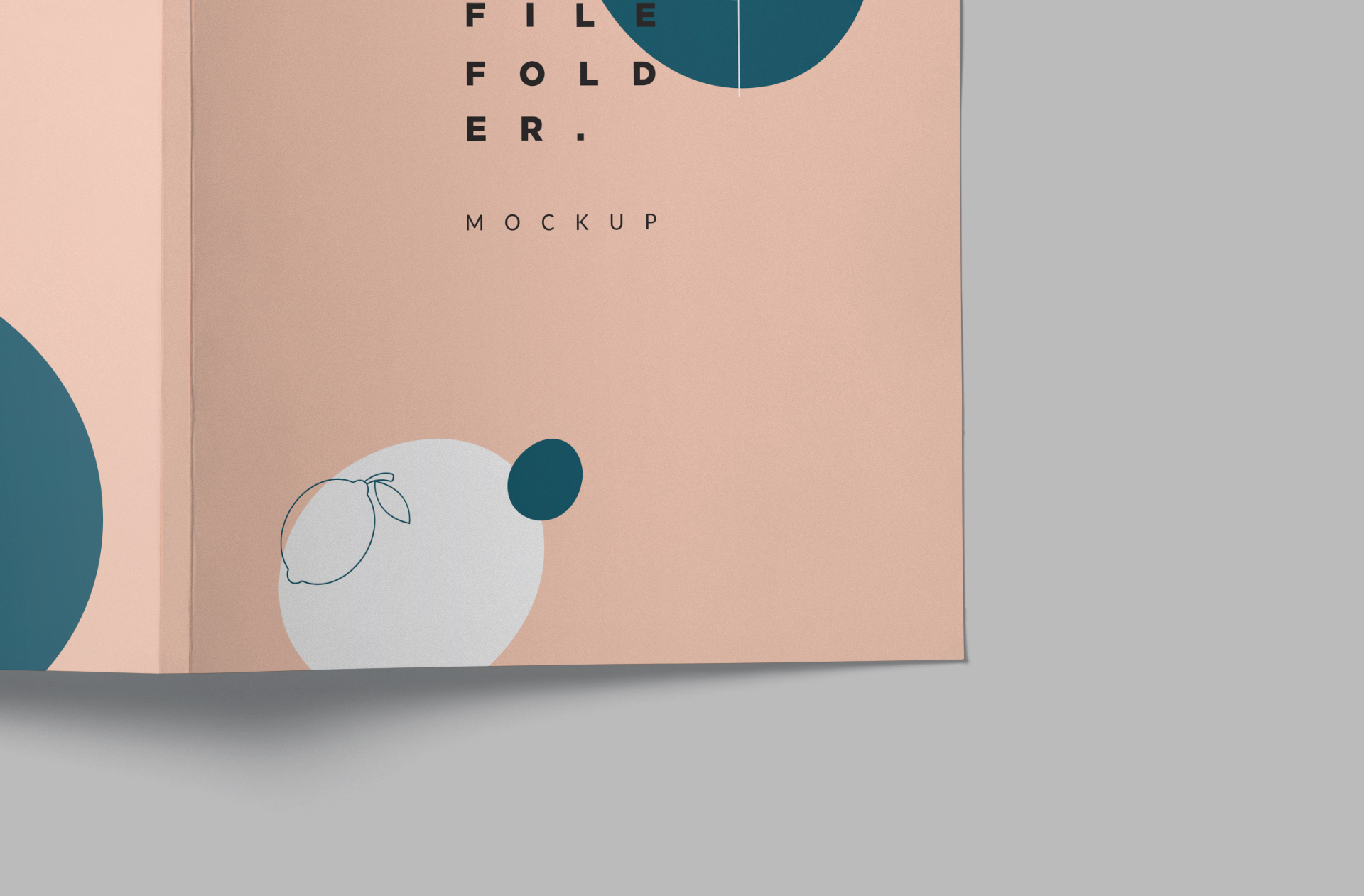 business folder mockup