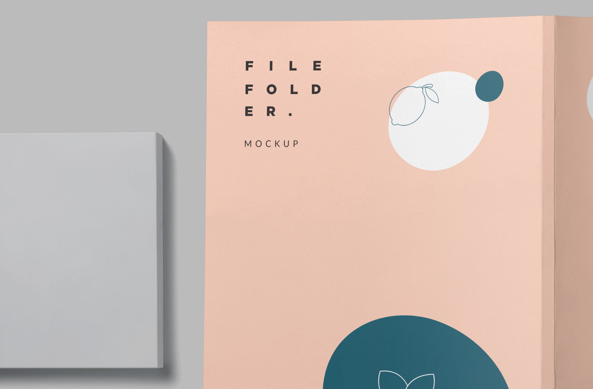 business folder mockup