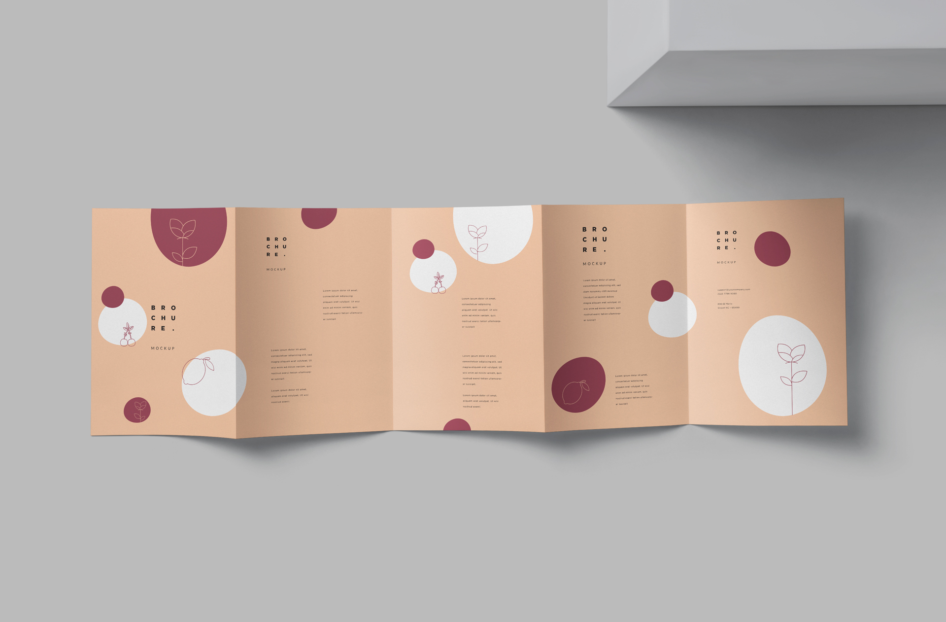 Creative Tri-Fold Brochure Mockup with Custom Layout