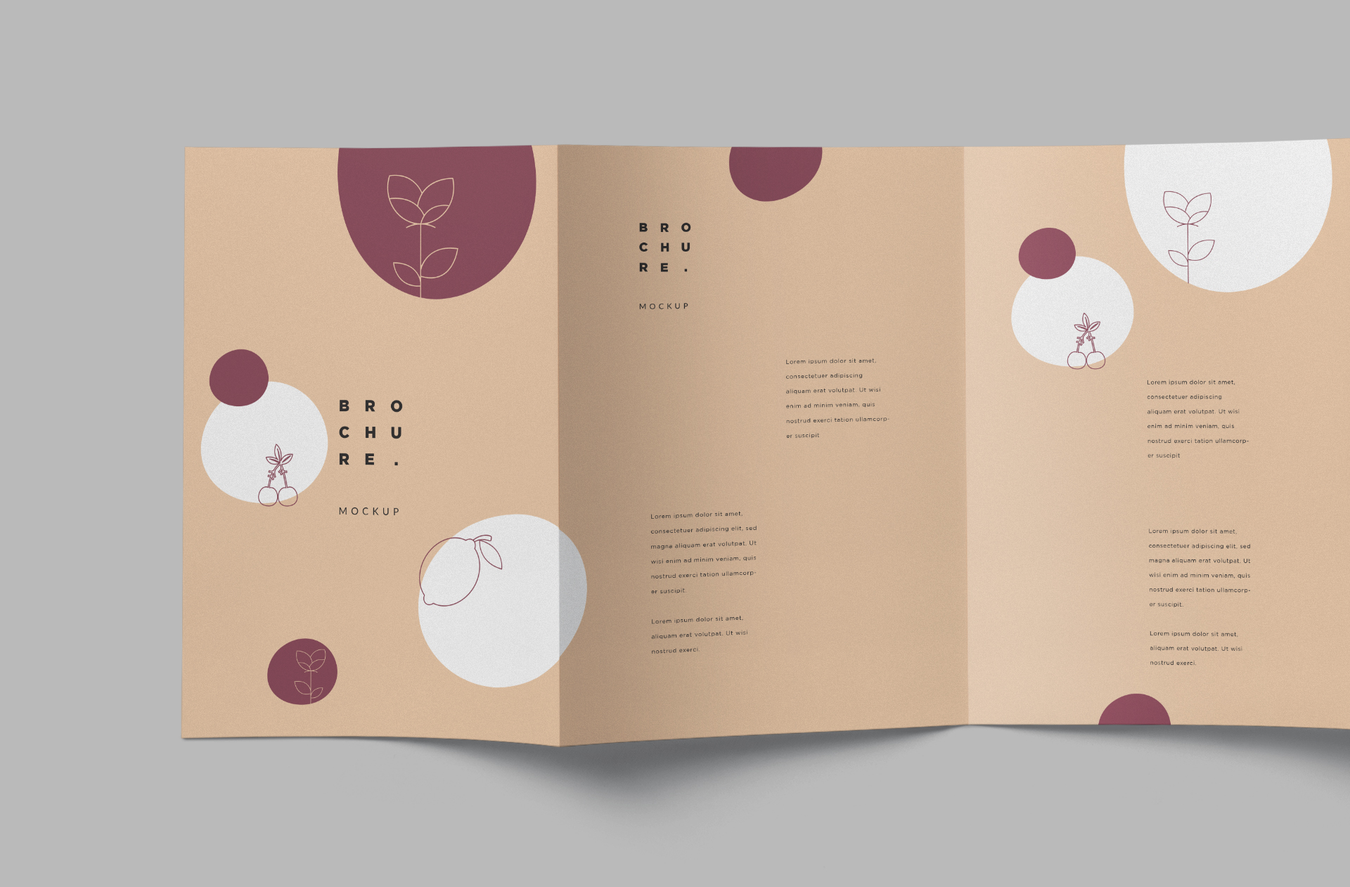 creative brochure mock-up