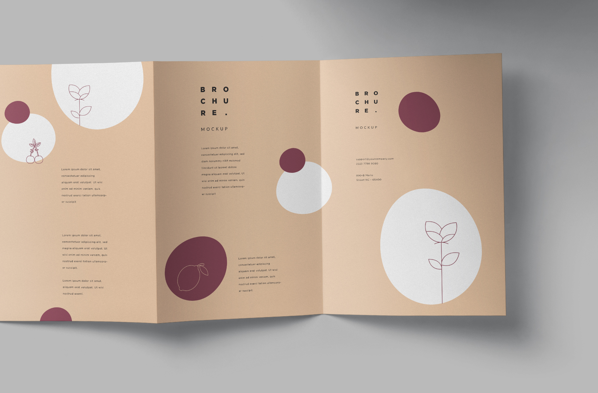 creative brochure mock-up
