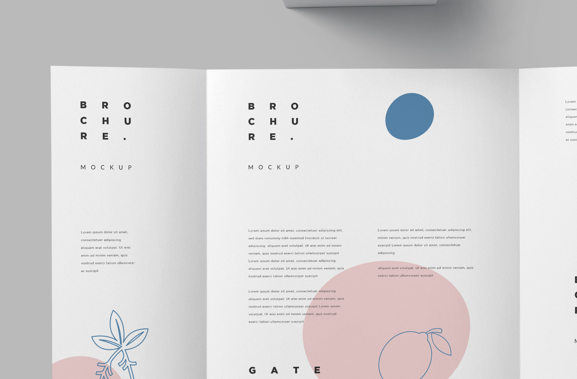 customizable brochure PSD