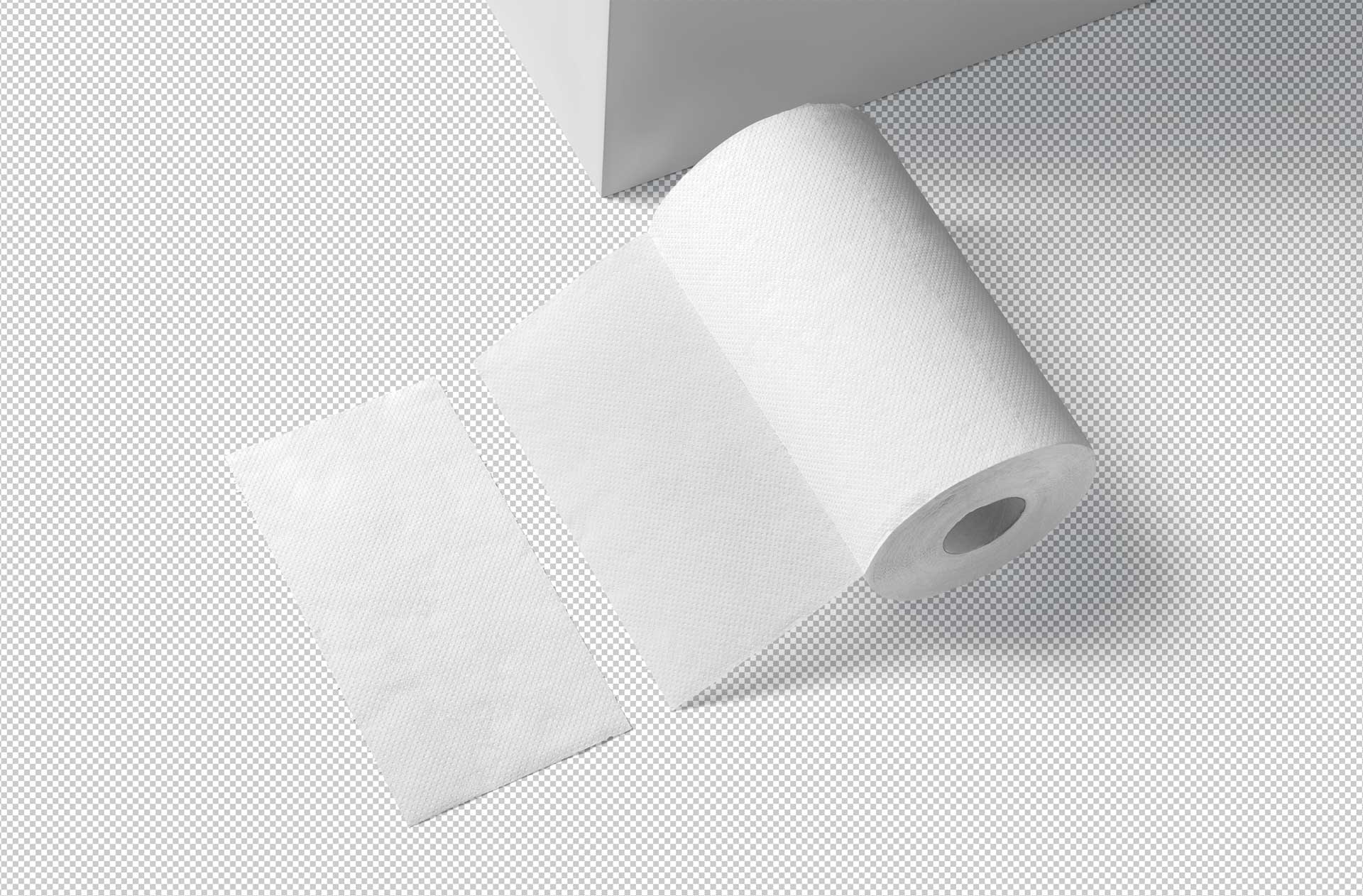 bathroom paper mockup