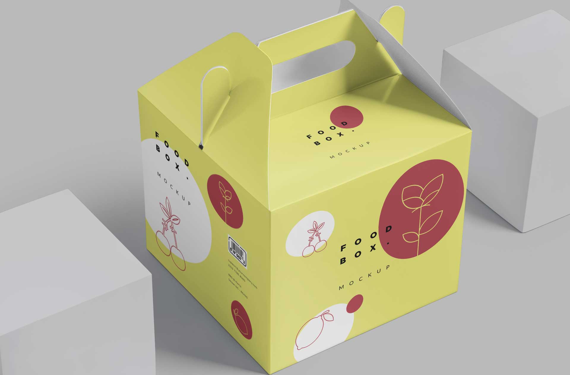 customizable food box mockup