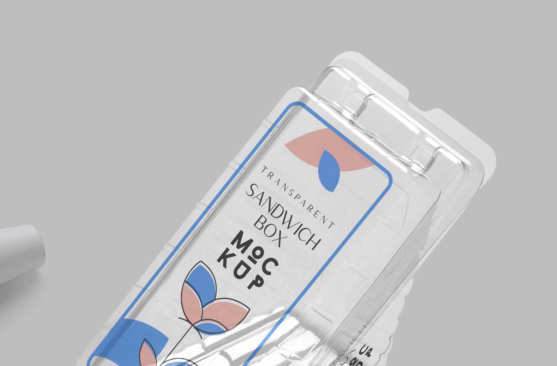 clean sandwich box design mockup