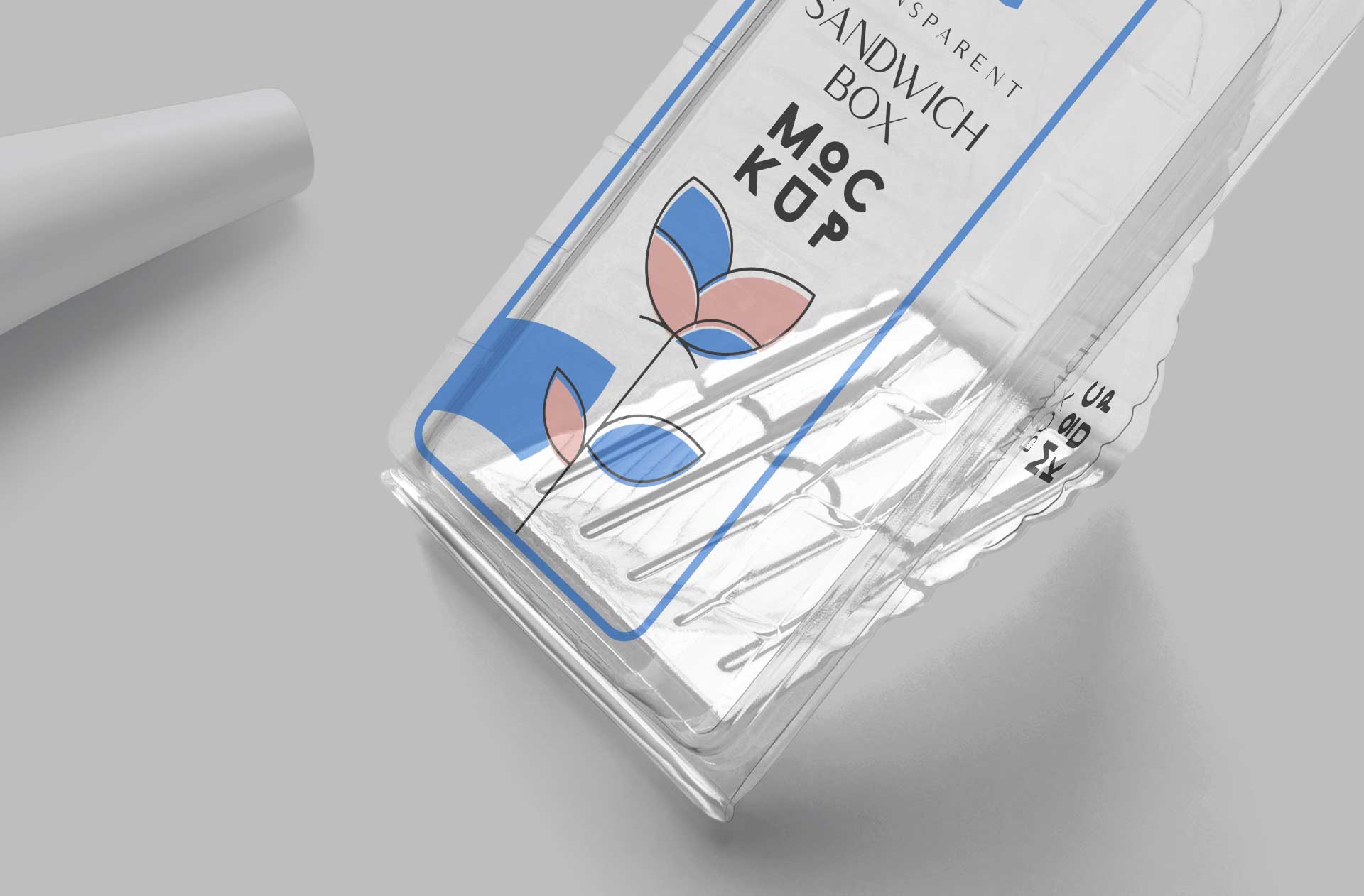 clean sandwich box design mockup