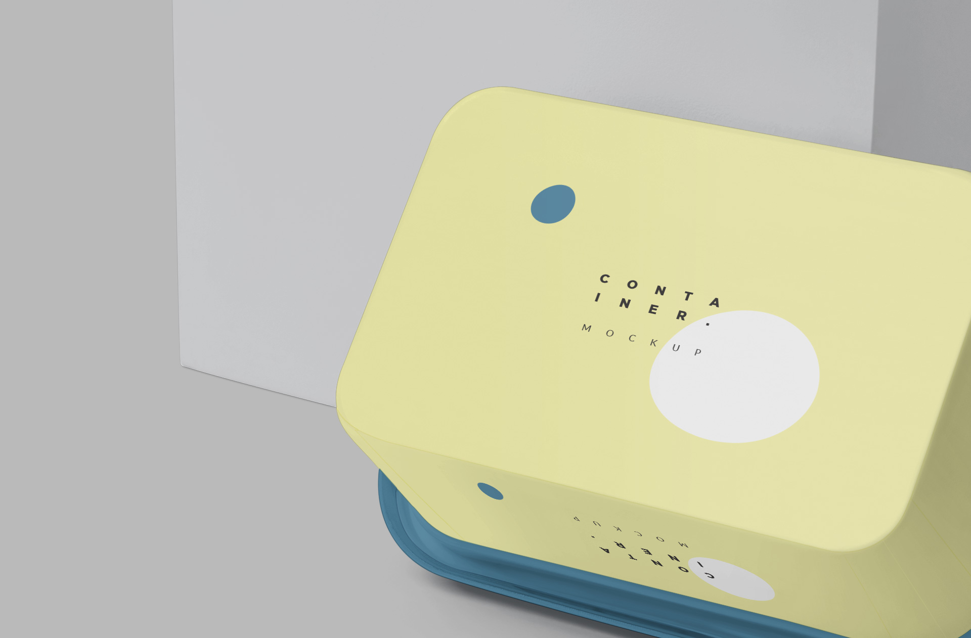 disposable container mock-up