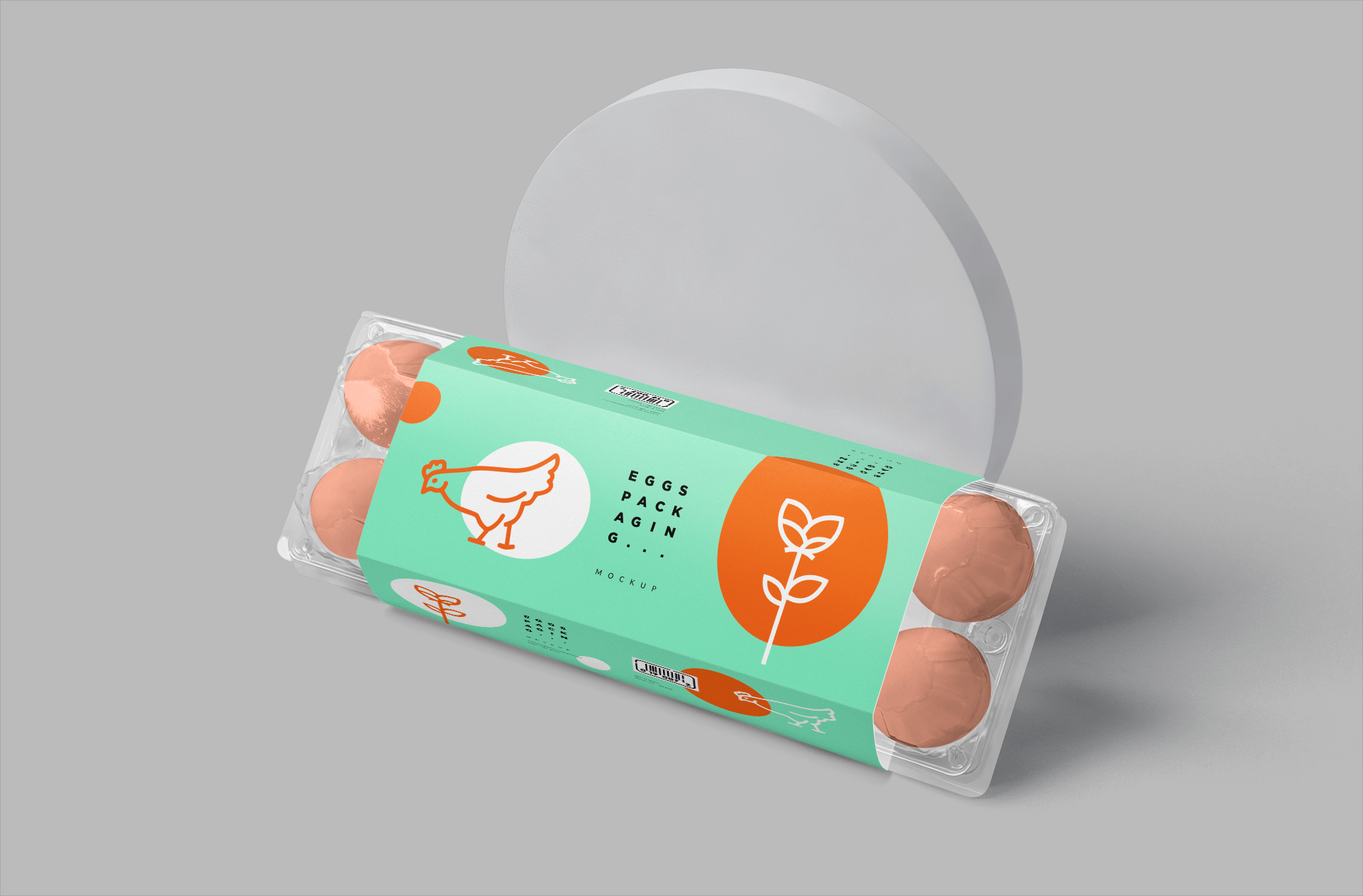 Eco-Friendly Egg Packaging Design Mockup