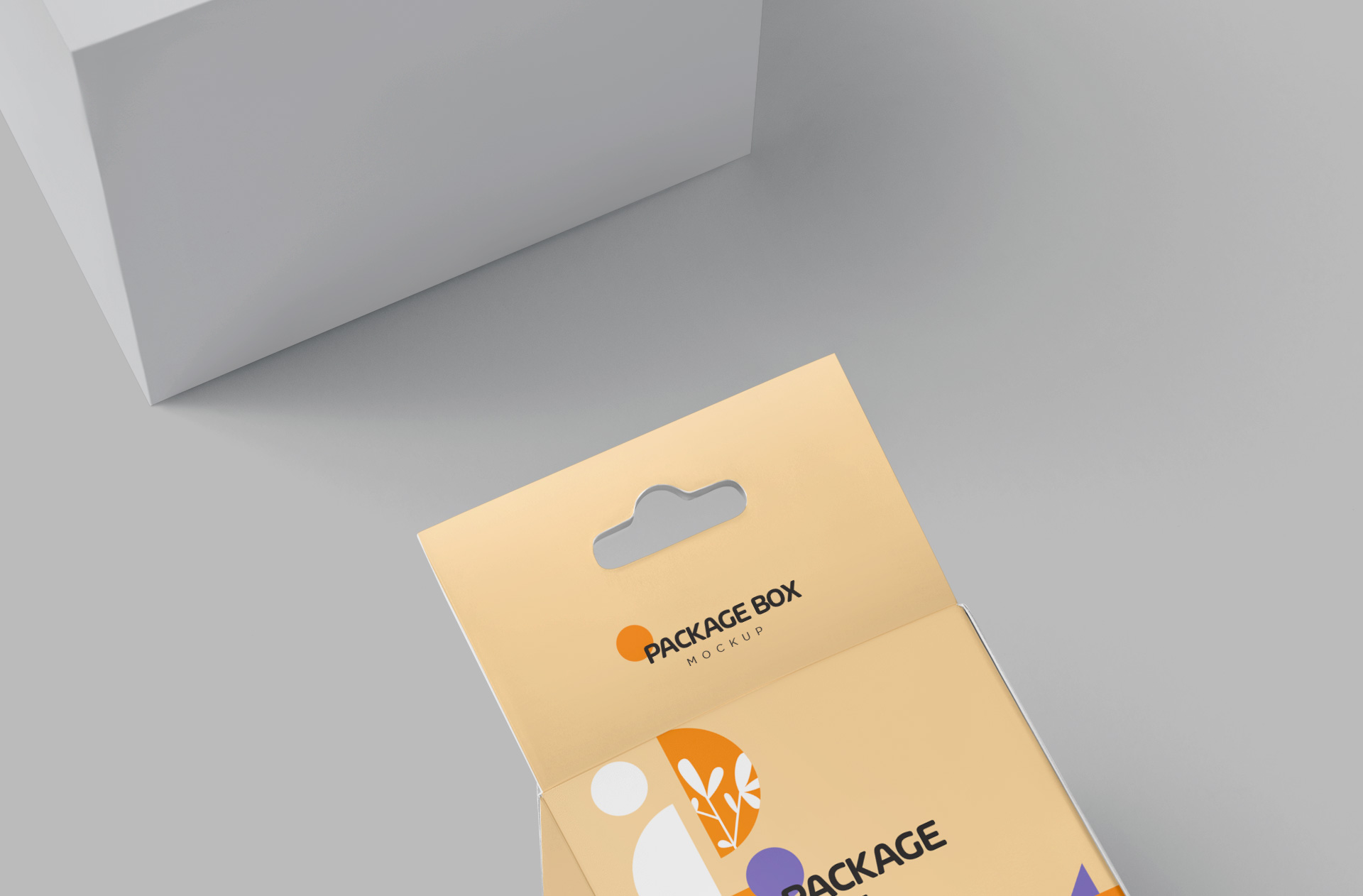 packaging box design PSD