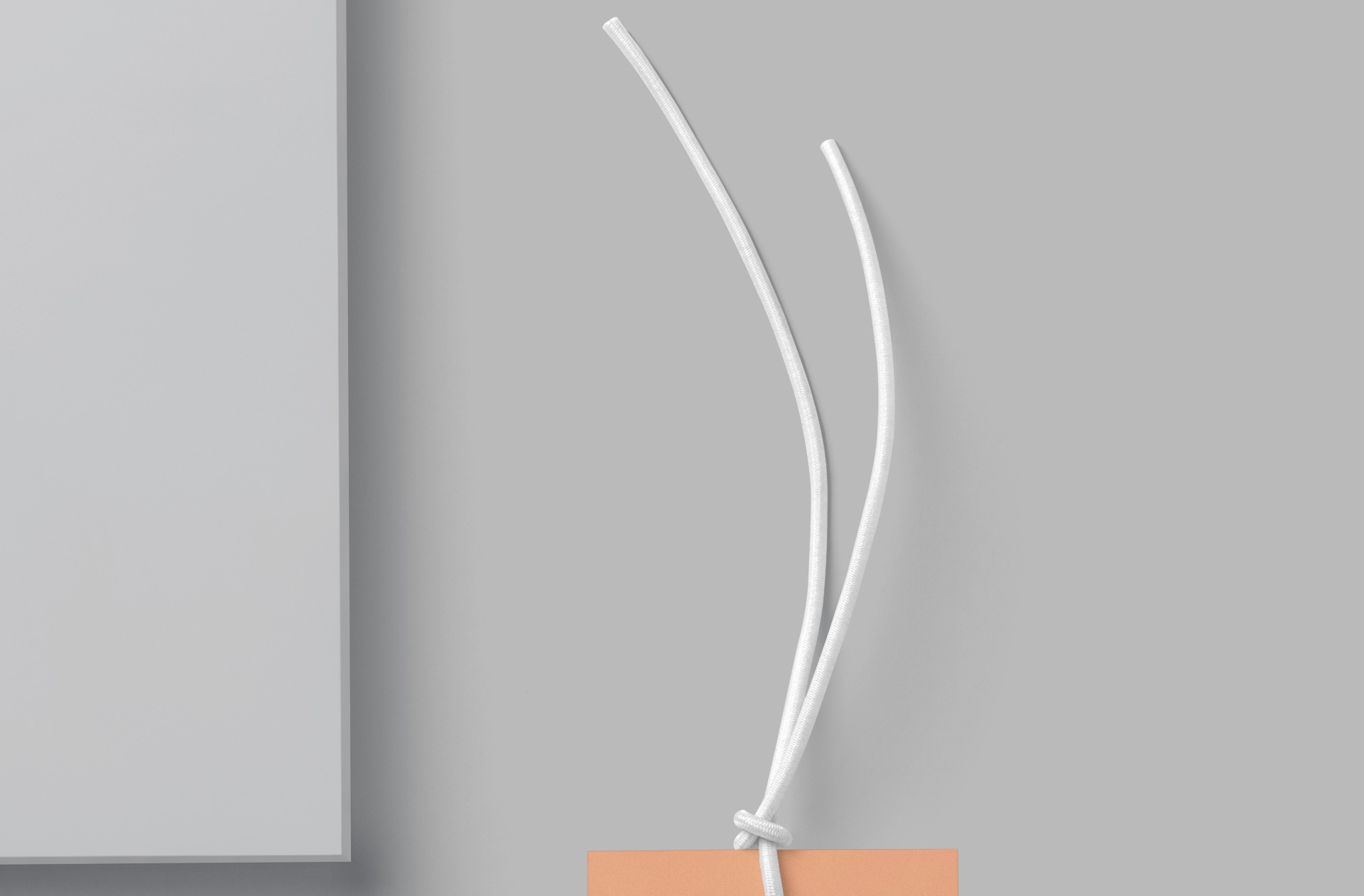 bottom rounded tag mock-up