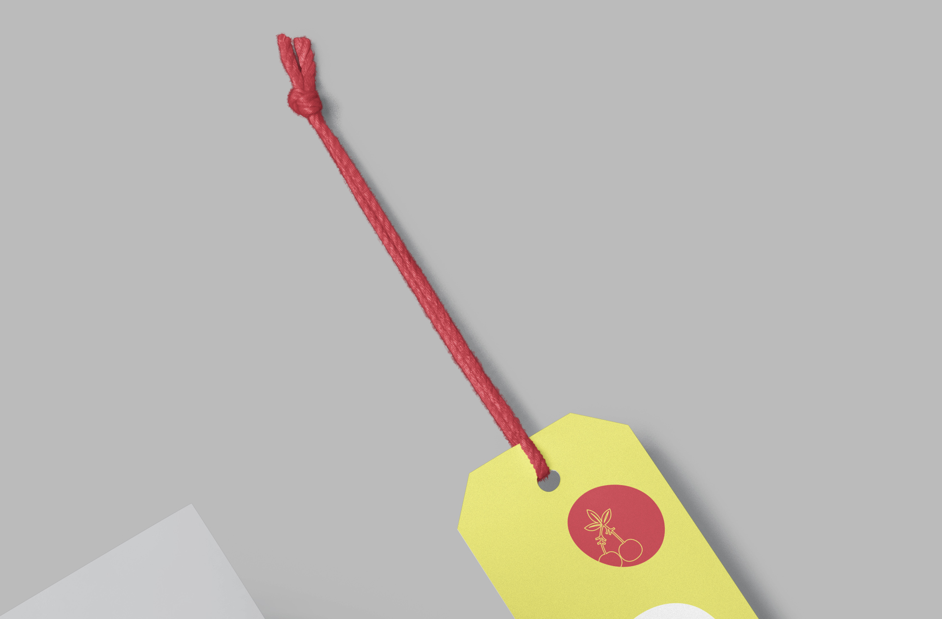 apparel tag design PSD