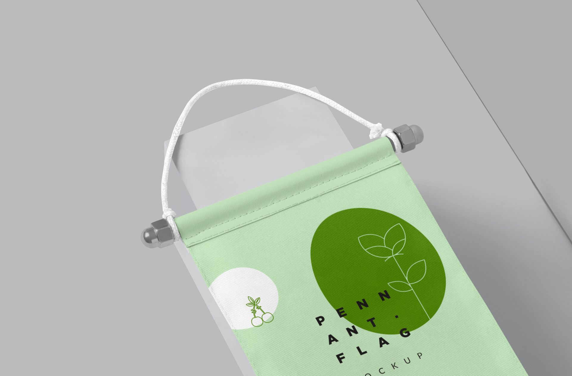 corporate branding pennant