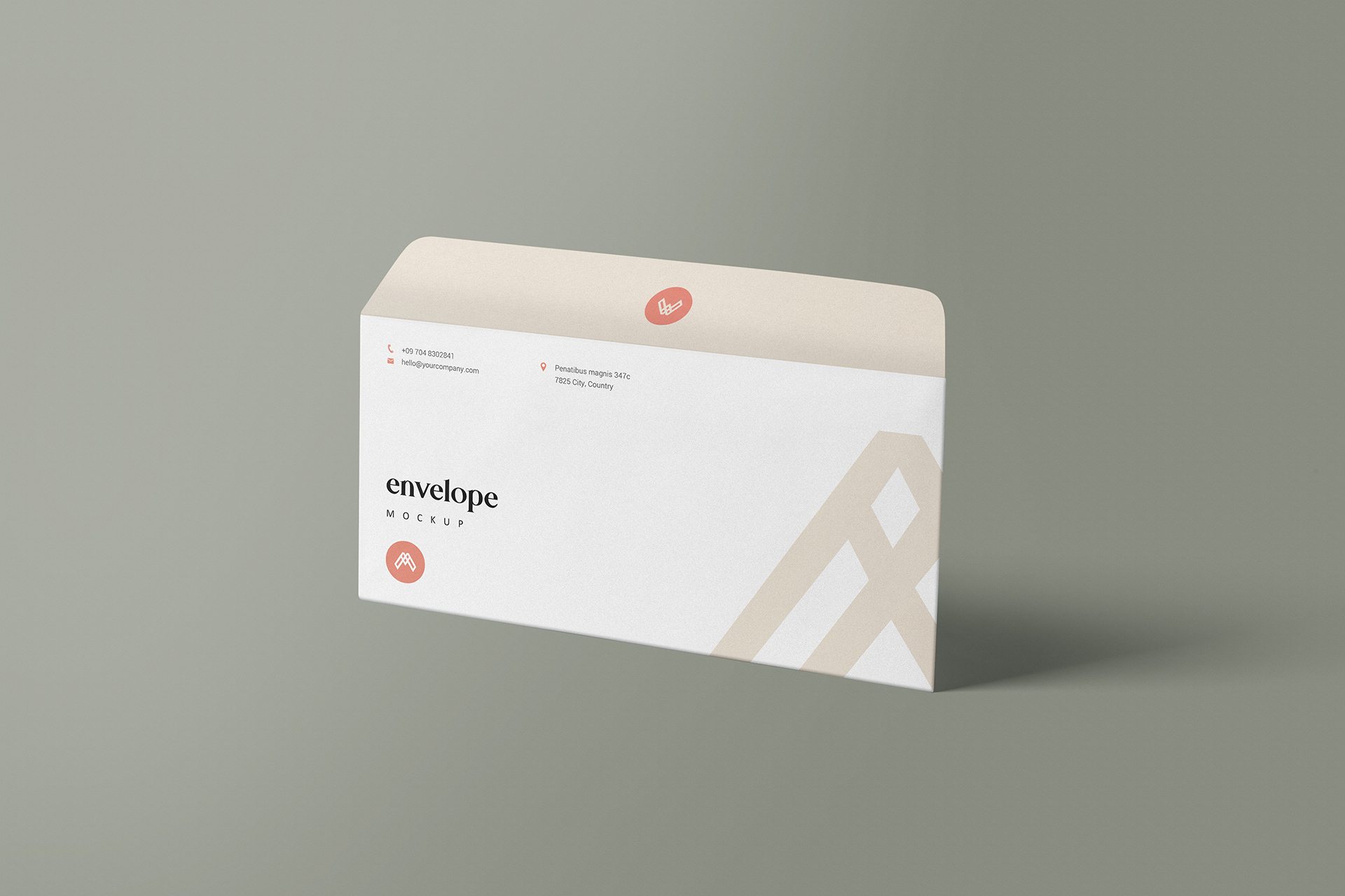 Professional DL Envelope Front View mockup