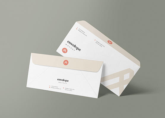 Dual View DL Envelope Branding mockup